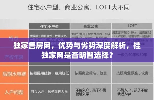 独家售房网，优势与劣势深度解析，挂独家网是否明智选择？