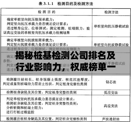 揭秘桩基检测公司排名及行业影响力，权威榜单一网打尽！