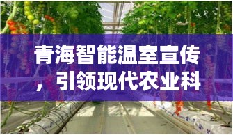 青海智能温室宣传，引领现代农业科技潮流新篇章