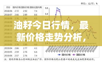 油籽今日行情，最新价格走势分析，市场预测与深度解读