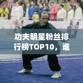 功夫明星粉丝排行榜TOP10，谁居榜首？