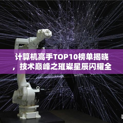 计算机高手TOP10榜单揭晓，技术巅峰之璀璨星辰闪耀全球！