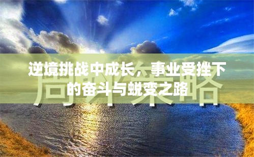 逆境挑战中成长，事业受挫下的奋斗与蜕变之路