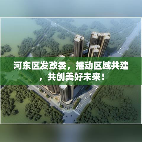 河东区发改委，推动区域共建，共创美好未来！