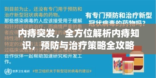 内痔突发，全方位解析内痔知识，预防与治疗策略全攻略