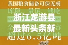 浙江龙游县最新头条新闻速递