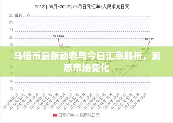 马格币最新动态与今日汇率解析，洞悉市场变化