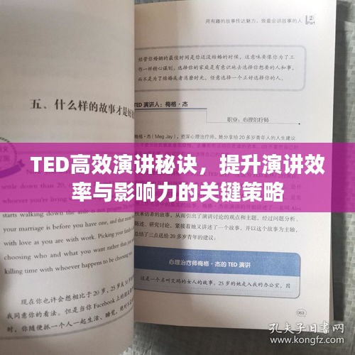 TED高效演讲秘诀，提升演讲效率与影响力的关键策略