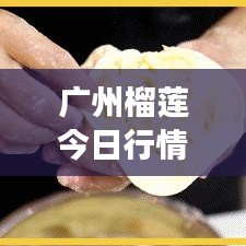 广州榴莲今日行情，最新价格、市场走势及购买指南一网打尽！