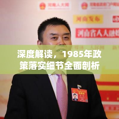 深度解读，1985年政策落实细节全面剖析