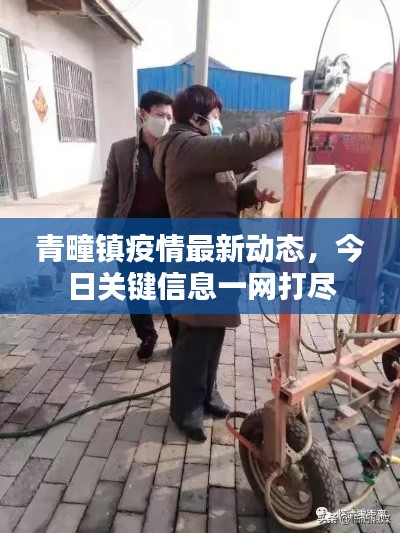 青疃镇疫情最新动态，今日关键信息一网打尽