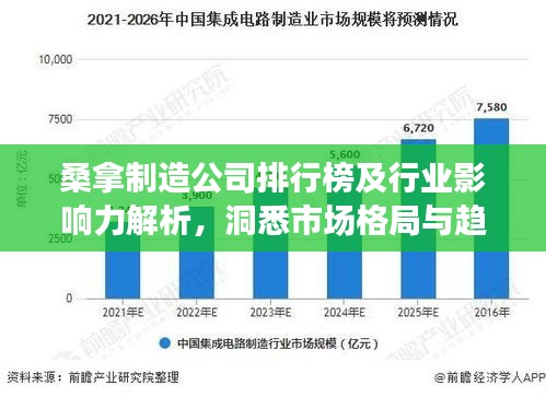 桑拿制造公司排行榜及行业影响力解析，洞悉市场格局与趋势