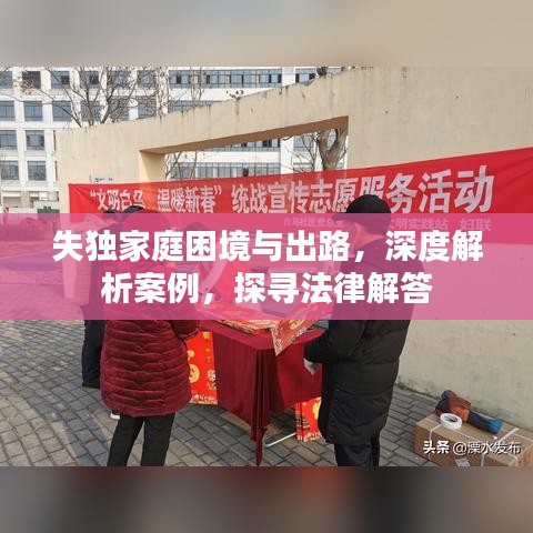 失独家庭困境与出路，深度解析案例，探寻法律解答