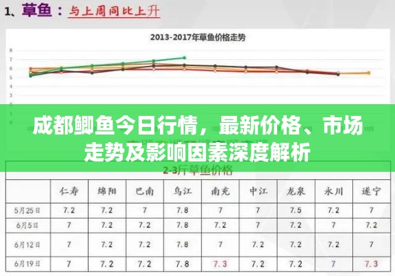 成都鲫鱼今日行情，最新价格、市场走势及影响因素深度解析