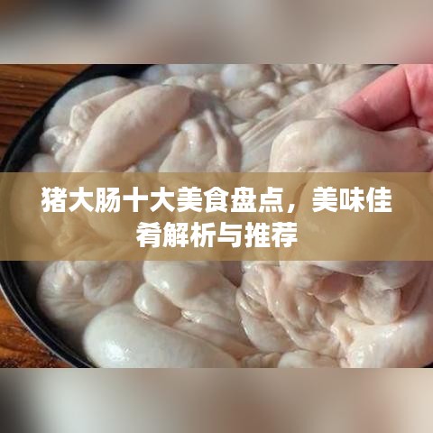 猪大肠十大美食盘点，美味佳肴解析与推荐