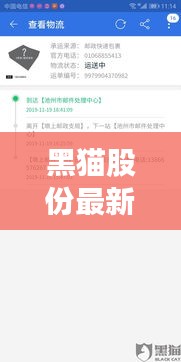 黑猫股份最新动态速递