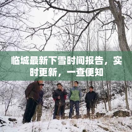 临城最新下雪时间报告，实时更新，一查便知