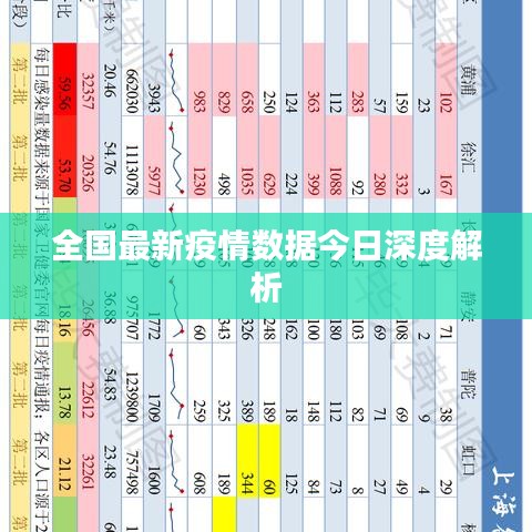 全国最新疫情数据今日深度解析