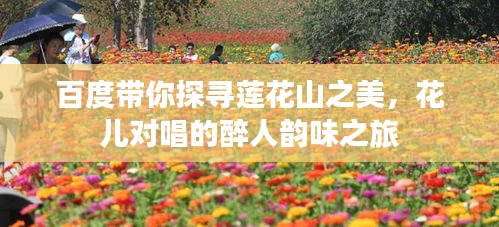 百度带你探寻莲花山之美，花儿对唱的醉人韵味之旅