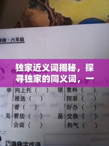 独家近义词揭秘，探寻独家的同义词，一网打尽！