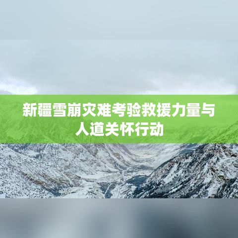 新疆雪崩灾难考验救援力量与人道关怀行动