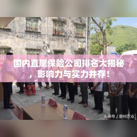 国内直属保险公司排名大揭秘，影响力与实力并存！