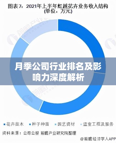 月季公司行业排名及影响力深度解析