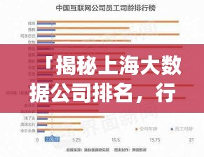 「揭秘上海大数据公司排名，行业影响力与市场份额的双重解析」