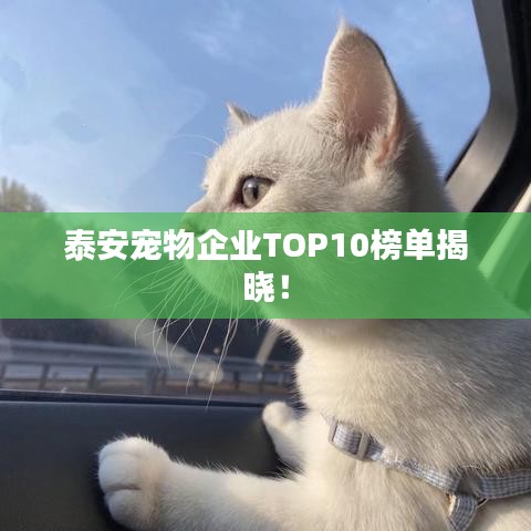 泰安宠物企业TOP10榜单揭晓！