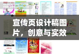 宣传页设计稿图片，创意与实效的绝美融合