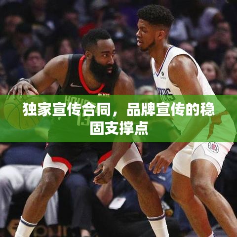 独家宣传合同，品牌宣传的稳固支撑点