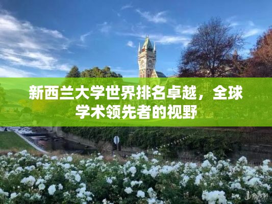 新西兰大学世界排名卓越，全球学术领先者的视野