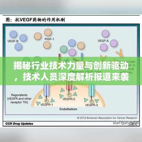 揭秘行业技术力量与创新驱动，技术人员深度解析报道来袭！