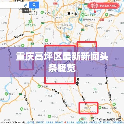 重庆高坪区最新新闻头条概览