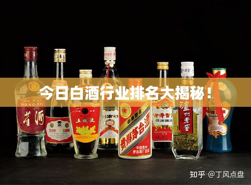 今日白酒行业排名大揭秘！