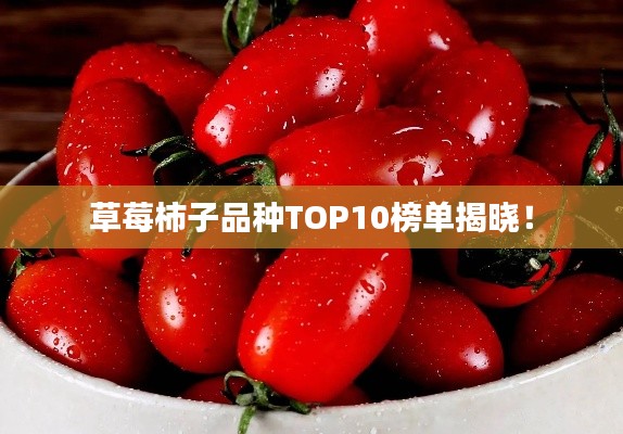 草莓柿子品种TOP10榜单揭晓！