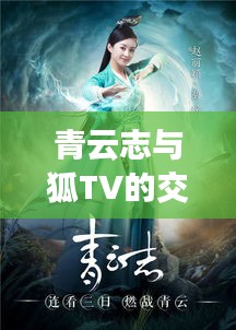 青云志与狐TV的交融解析，小狐tv独特视角解读