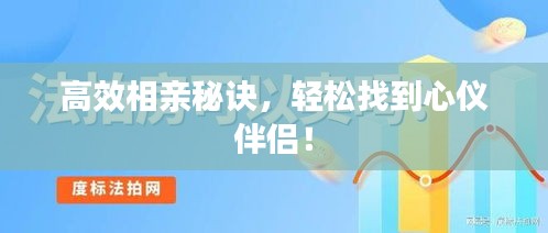 高效相亲秘诀，轻松找到心仪伴侣！