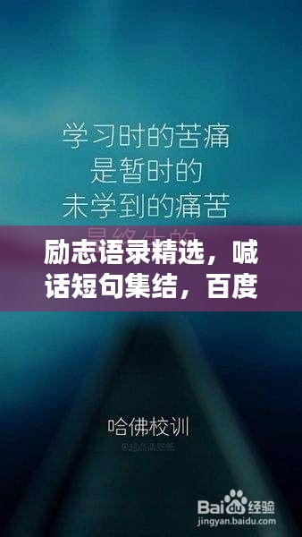 励志语录精选，喊话短句集结，百度收录标准标题