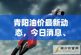 青阳油价最新动态，今日消息、影响分析全解析