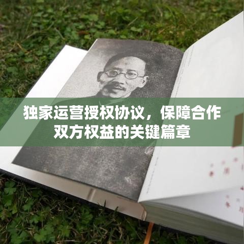 独家运营授权协议，保障合作双方权益的关键篇章