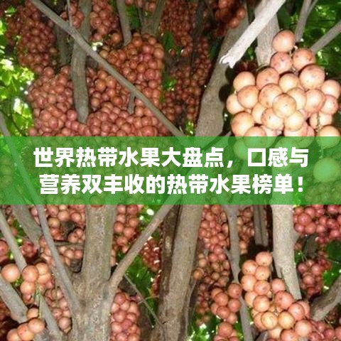 世界热带水果大盘点，口感与营养双丰收的热带水果榜单！