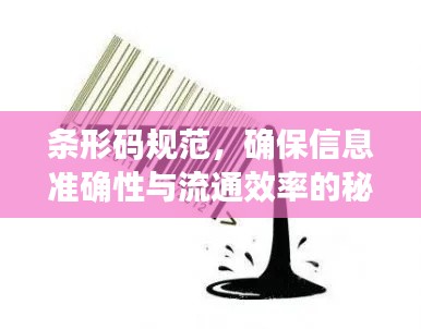 条形码规范，确保信息准确性与流通效率的秘诀武器