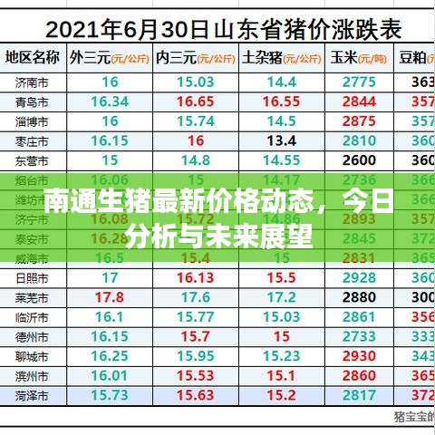 南通生猪最新价格动态，今日分析与未来展望