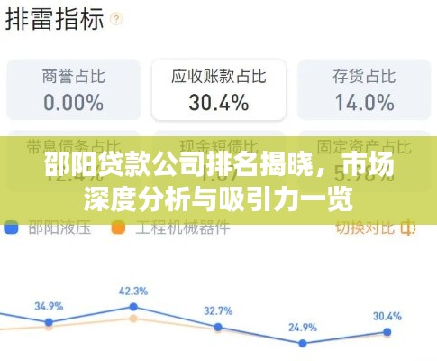 邵阳贷款公司排名揭晓，市场深度分析与吸引力一览