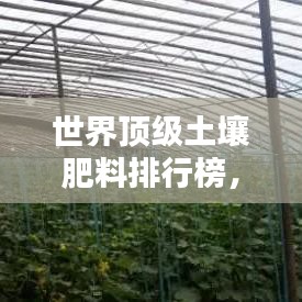 世界顶级土壤肥料排行榜，优质土壤改良肥料推荐！