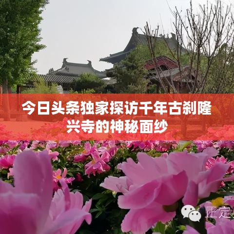 今日头条独家探访千年古刹隆兴寺的神秘面纱