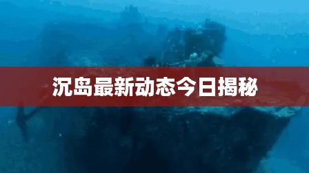 沉岛最新动态今日揭秘