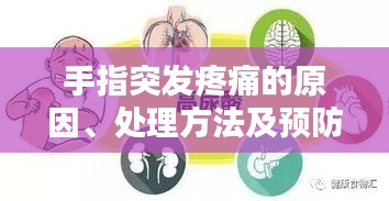 手指突发疼痛的原因、处理方法及预防策略全解析