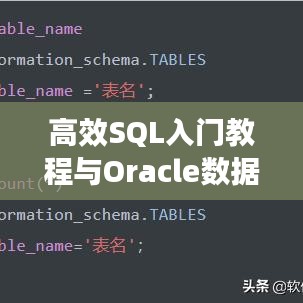 高效SQL入门教程与Oracle数据库实战解析